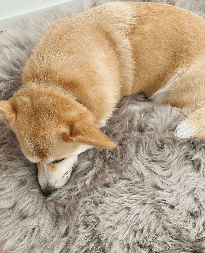 Lits - Tapis Carré ou Rectangulaire en Peau de Mouton Naturelle – Greige - MELLOW CONCEPT STORE