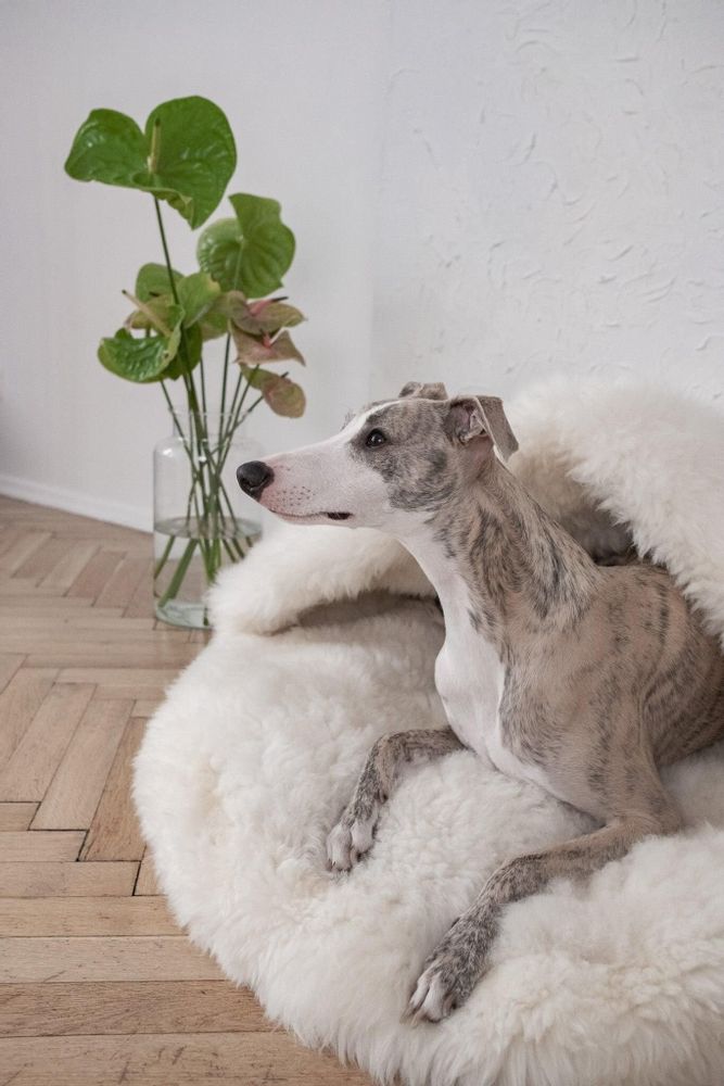 Lits - Grotte pour Animal en Peau de Mouton Naturelle – Blanche - MELLOW CONCEPT STORE