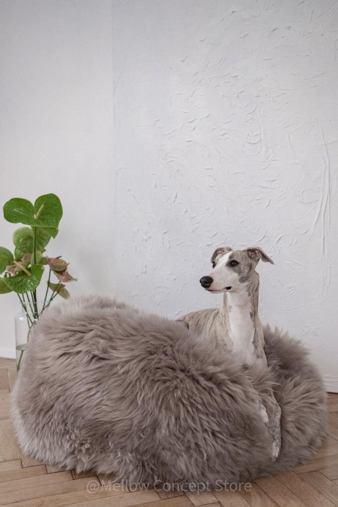 Lits - Lit Ovale pour Animal en Peau de Mouton Naturelle – Greige - MELLOW CONCEPT STORE