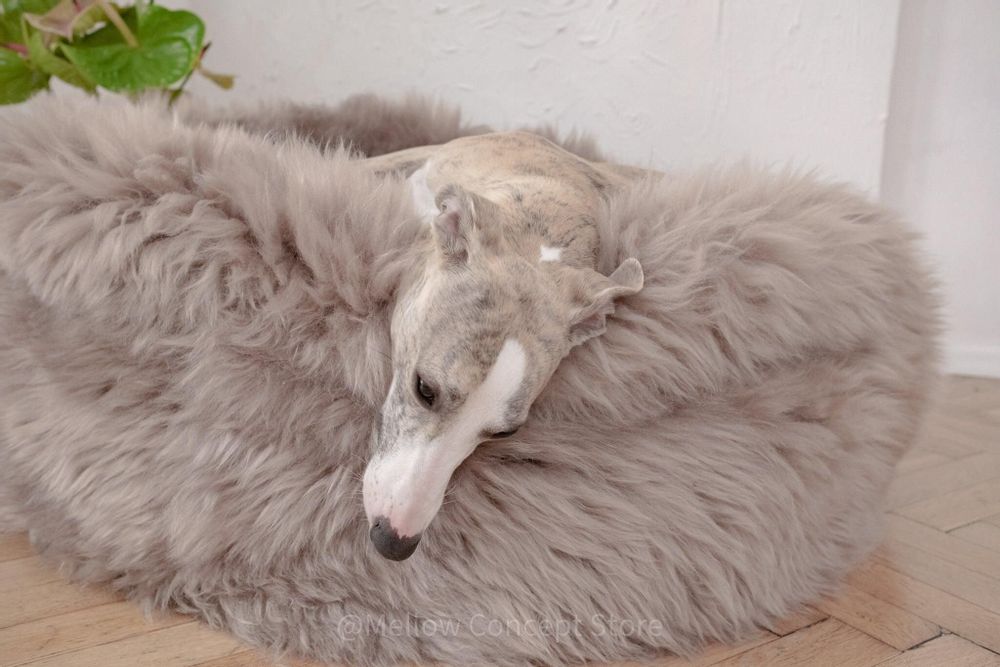 Lits - Lit Ovale pour Animal en Peau de Mouton Naturelle – Greige - MELLOW CONCEPT STORE
