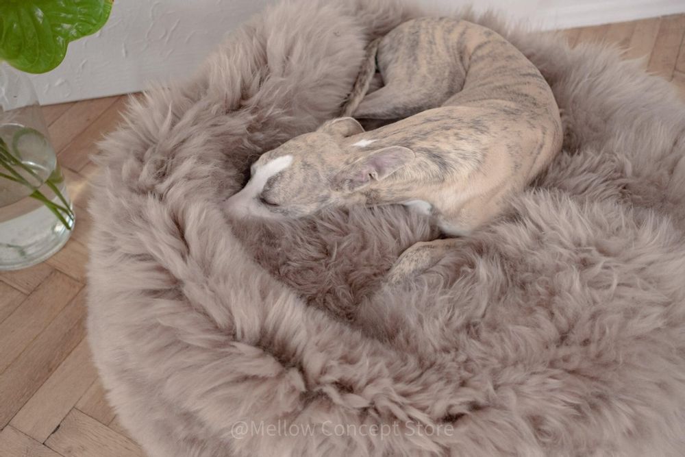 Lits - Lit Ovale pour Animal en Peau de Mouton Naturelle – Greige - MELLOW CONCEPT STORE