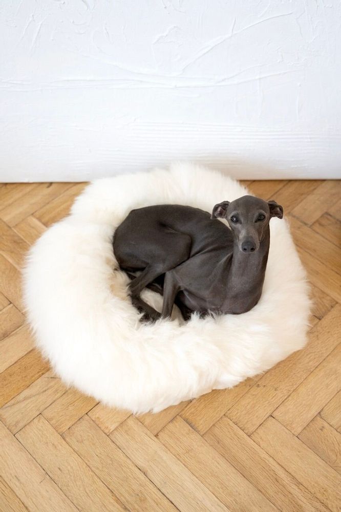 Lits - Lit Rond pour Animal en Peau de Mouton Naturelle - Blanc - MELLOW CONCEPT STORE