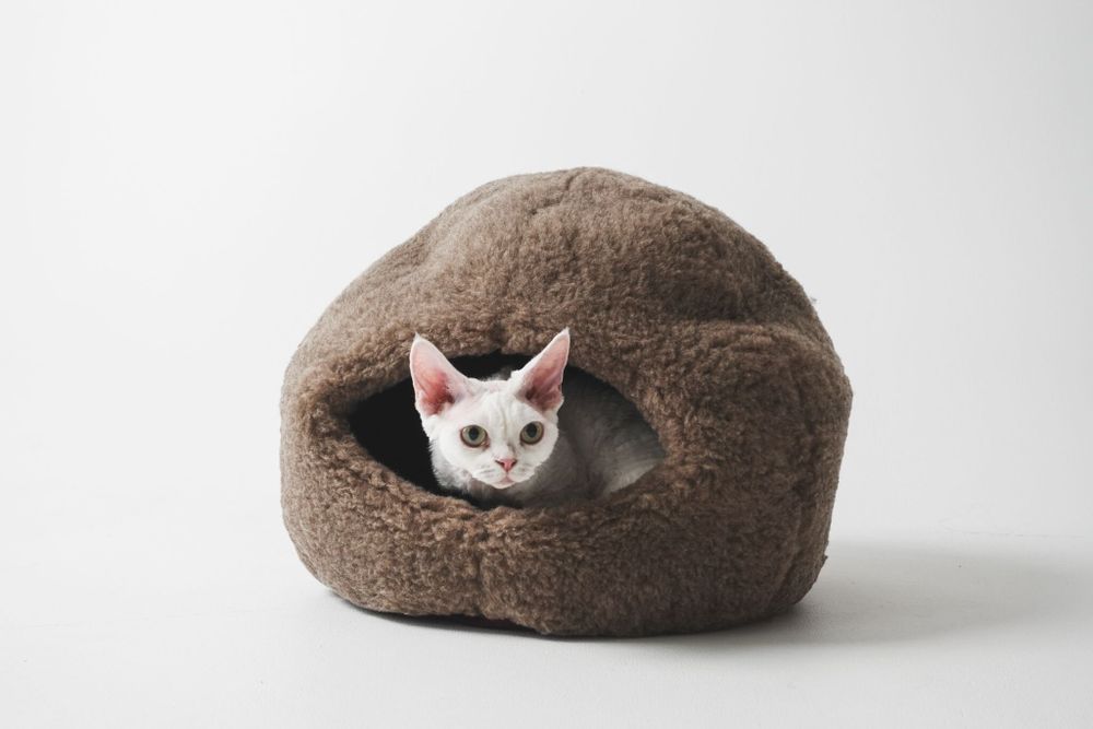 Beds - Nest Natural Woolen Pet Bed - Beige - MELLOW CONCEPT STORE
