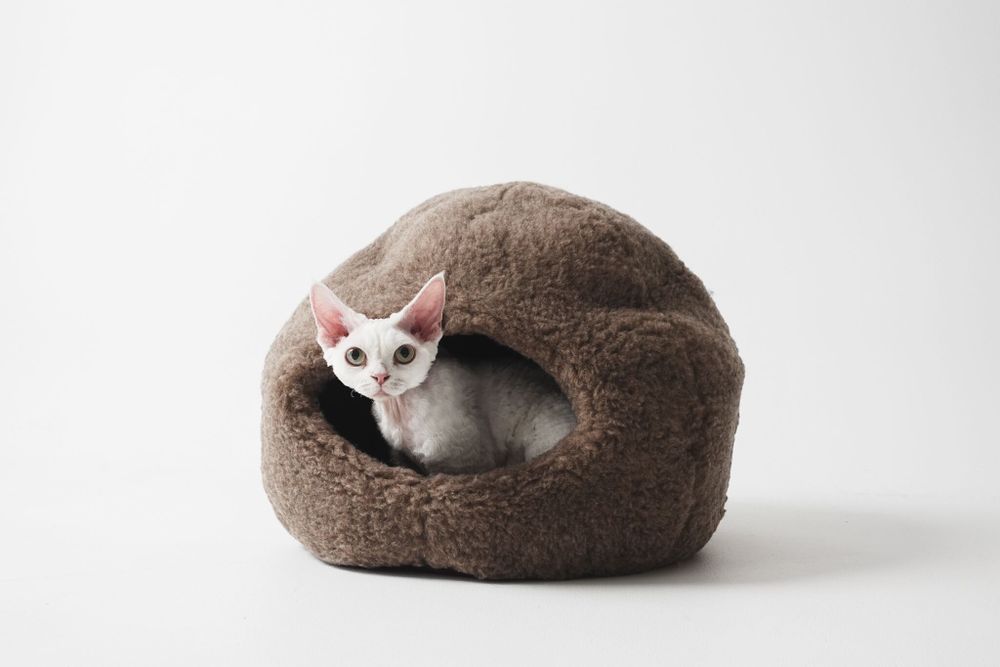 Beds - Nest Natural Woolen Pet Bed - Beige - MELLOW CONCEPT STORE