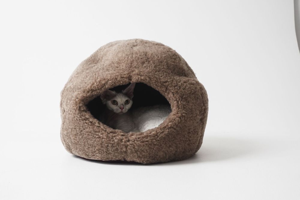 Beds - Nest Natural Woolen Pet Bed - Beige - MELLOW CONCEPT STORE