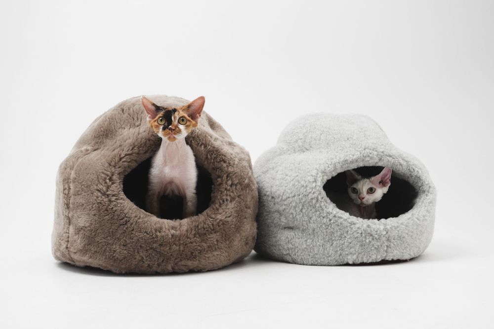 Beds - Nest Natural Woolen Pet Bed - Beige - MELLOW CONCEPT STORE
