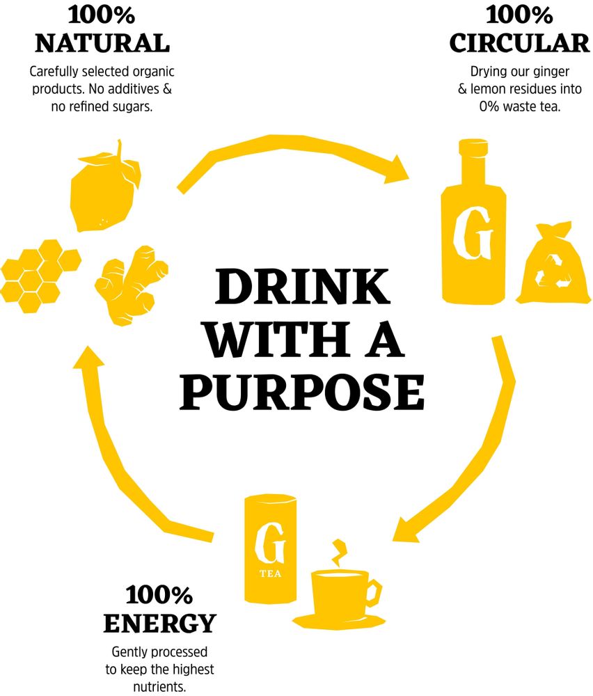 Gifts - GILI BIO Natural & Vitalising Ginger Elixir - Box of 12x500mL - GILI