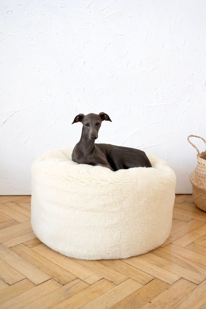 Beds - Oval Natural Wool Pet Bed - White - MELLOW CONCEPT STORE
