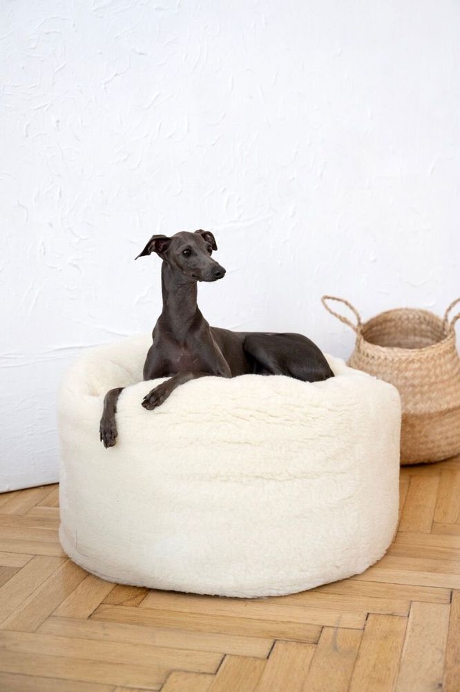 Beds - Oval Natural Wool Pet Bed - White - MELLOW CONCEPT STORE
