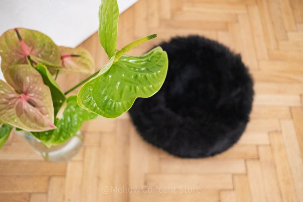 Beds - Round Natural Sheepskin Pet Bed - Black - MELLOW CONCEPT STORE