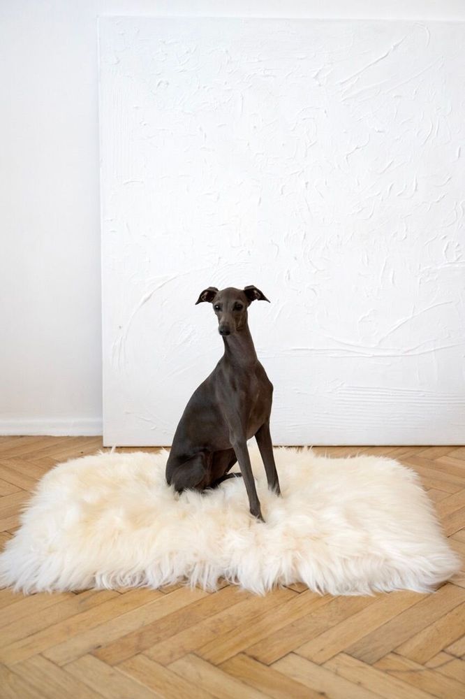Lits - Tapis Carré ou Rectangulaire en Peau de Mouton Naturelle – Blanc - MELLOW CONCEPT STORE