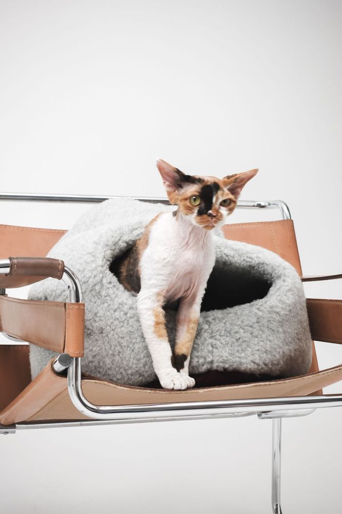Lits - Grotte Naturelle en Laine pour Animal – Gris - MELLOW CONCEPT STORE