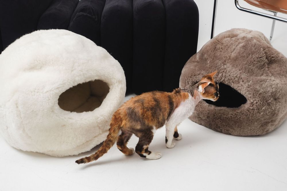 Beds - Nest Natural Sheepskin Pet Bed - Brown - MELLOW CONCEPT STORE