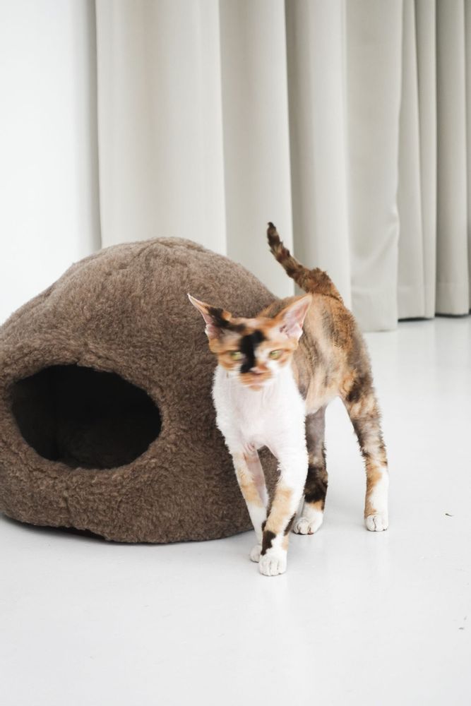 Beds - Nest Natural Sheepskin Pet Bed - Beige - MELLOW CONCEPT STORE