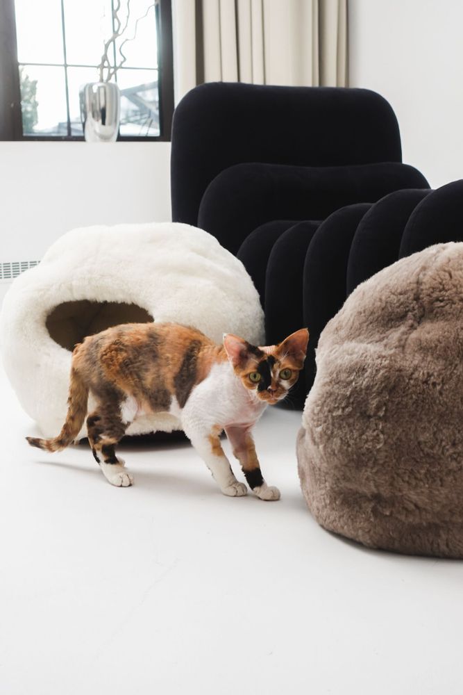 Beds - Nest Natural Sheepskin Pet Bed - Beige - MELLOW CONCEPT STORE