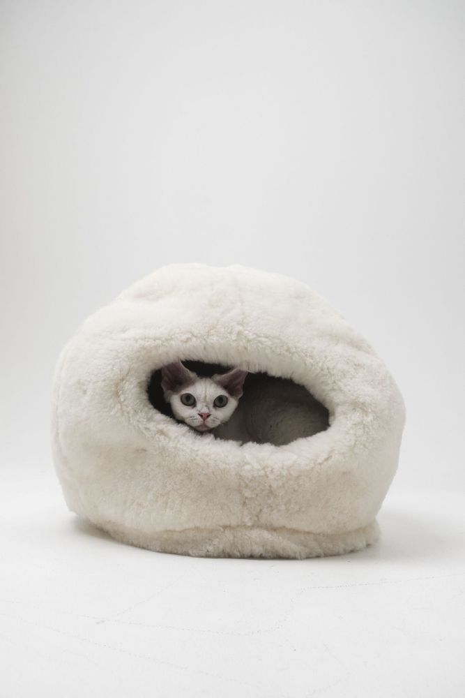Beds - Nest Natural Sheepskin Pet Bed - White - MELLOW CONCEPT STORE
