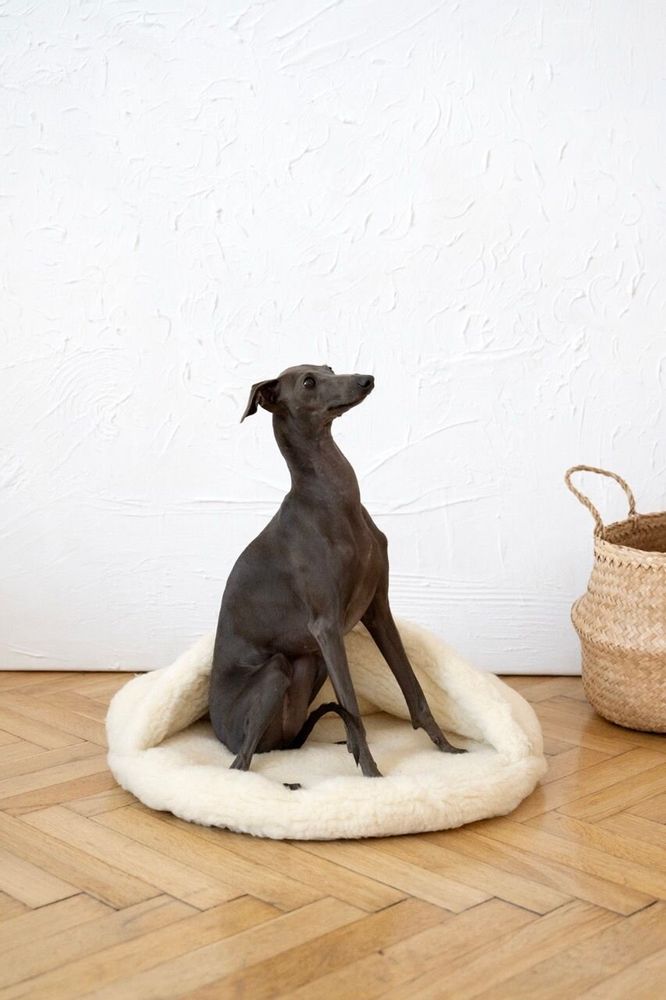 Beds - Natural Wool Pet Cave - White - MELLOW CONCEPT STORE