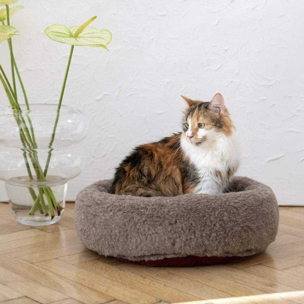 Beds - Round Natural Wool Pet Bed - Beige - MELLOW CONCEPT STORE