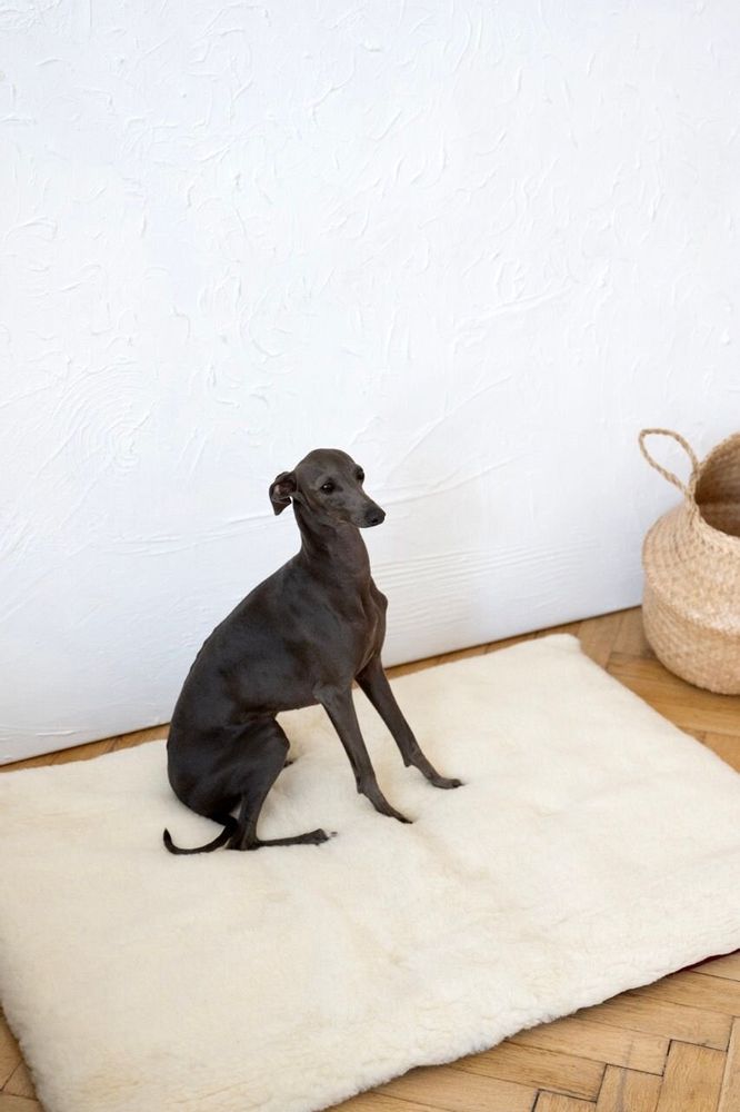 Beds - Square or Rectangular Natural Woolen Pet Mat - White - MELLOW CONCEPT STORE