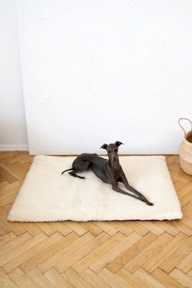 Beds - Square or Rectangular Natural Woolen Pet Mat - White - MELLOW CONCEPT STORE