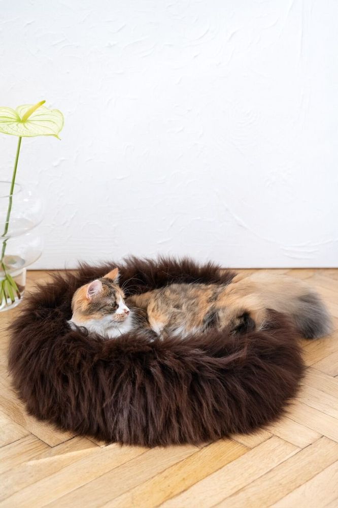 Beds - Round Natural Sheepskin Pet Bed - Brown - MELLOW CONCEPT STORE