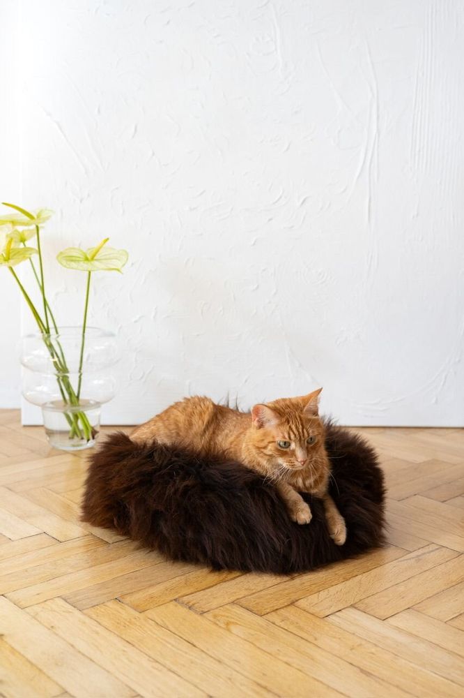 Beds - Round Natural Sheepskin Pet Bed - Brown - MELLOW CONCEPT STORE