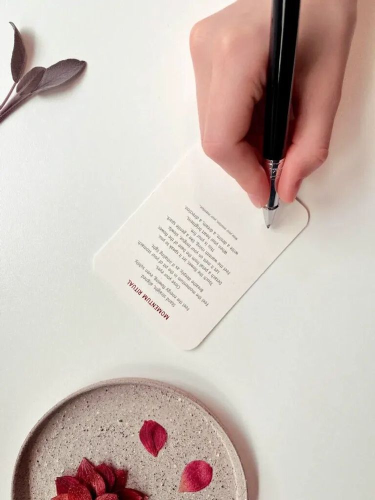 Candy - Yü Lotus Set - A sensory ritual to reconnect with yourself - YÜSSÉE
