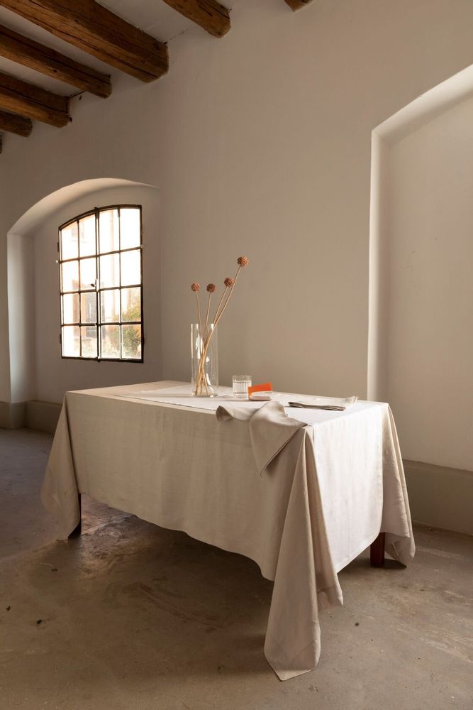 Table linen - CLIO — 2 pure washed linen napkins - NORA V