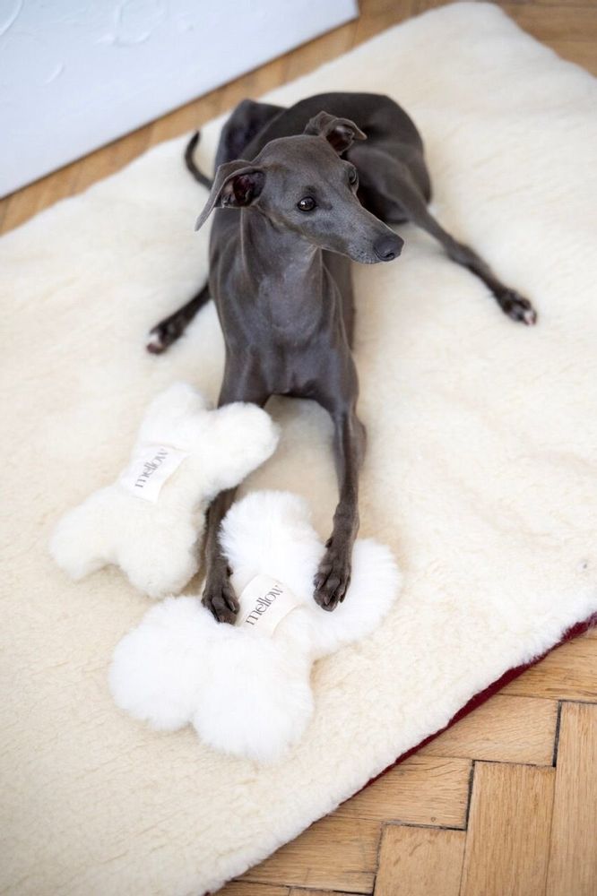 Decorative objects - Natural Sheepskin Dog Toy: Bone - White - MELLOW CONCEPT STORE