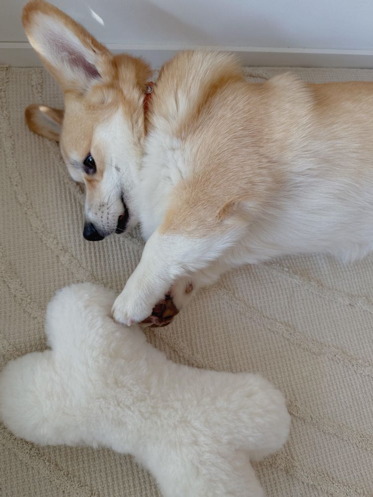 Decorative objects - Natural Sheepskin Dog Toy: Bone - White - MELLOW CONCEPT STORE