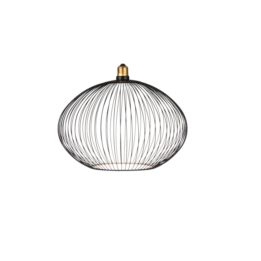 Ampoules pour éclairage intérieur - SEGULA FILO Black Collection - QUALITY LEDS SEGULA