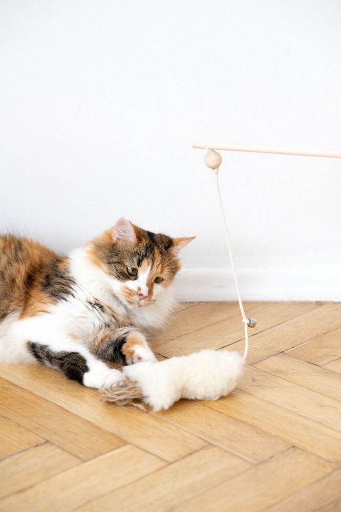 Decorative objects - Natural Sheepskin Cat Toy: Fish - MELLOW CONCEPT STORE