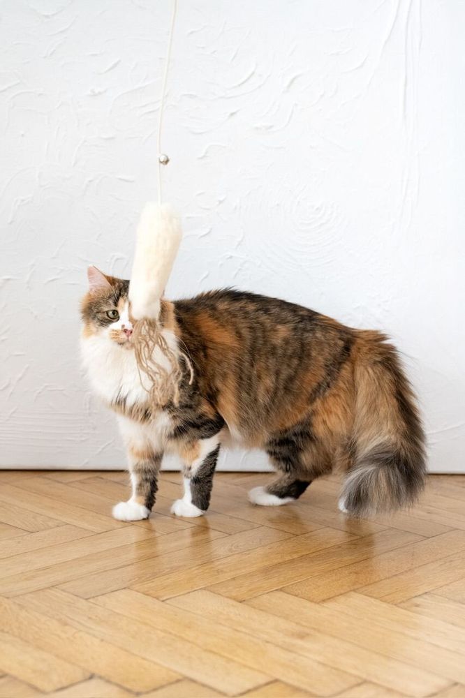 Decorative objects - Natural Sheepskin Cat Toy: Fish - MELLOW CONCEPT STORE
