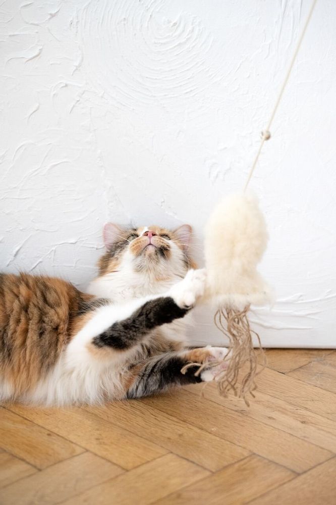 Objets de décoration - Jouet pour Chat en Laine Naturelle : Poisson - MELLOW CONCEPT STORE