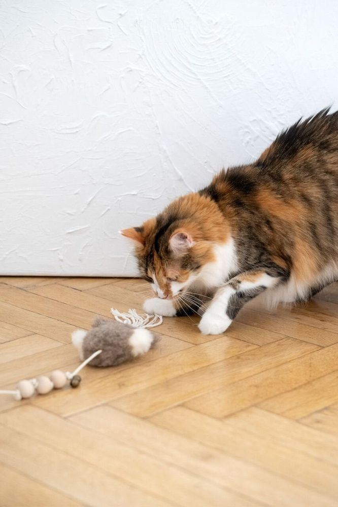 Objets de décoration - Jouet pour Chat en Peau de Mouton Naturelle : Calmar - MELLOW CONCEPT STORE