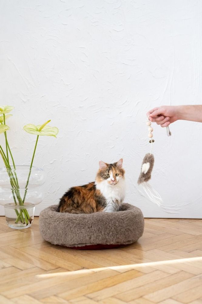 Objets de décoration - Jouet pour Chat en Peau de Mouton Naturelle : Calmar - MELLOW CONCEPT STORE