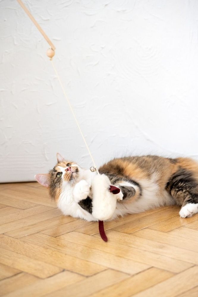Decorative objects - Natural Sheepskin Cat Toy: Mouse - MELLOW CONCEPT STORE