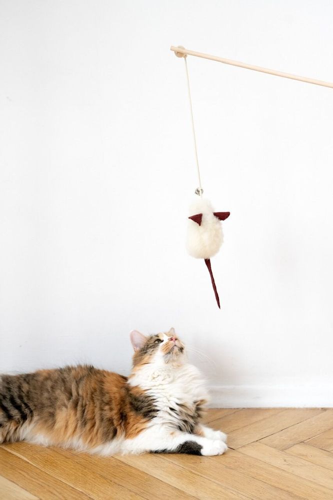 Decorative objects - Natural Sheepskin Cat Toy: Mouse - MELLOW CONCEPT STORE