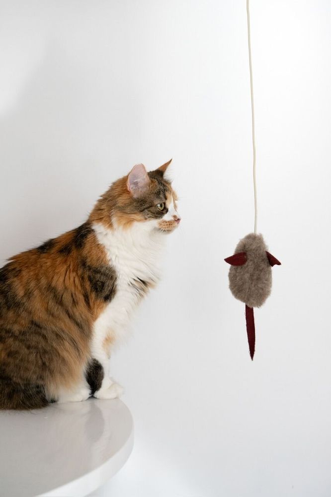 Objets de décoration - Jouet pour Chat en Laine Naturelle : Souris - MELLOW CONCEPT STORE