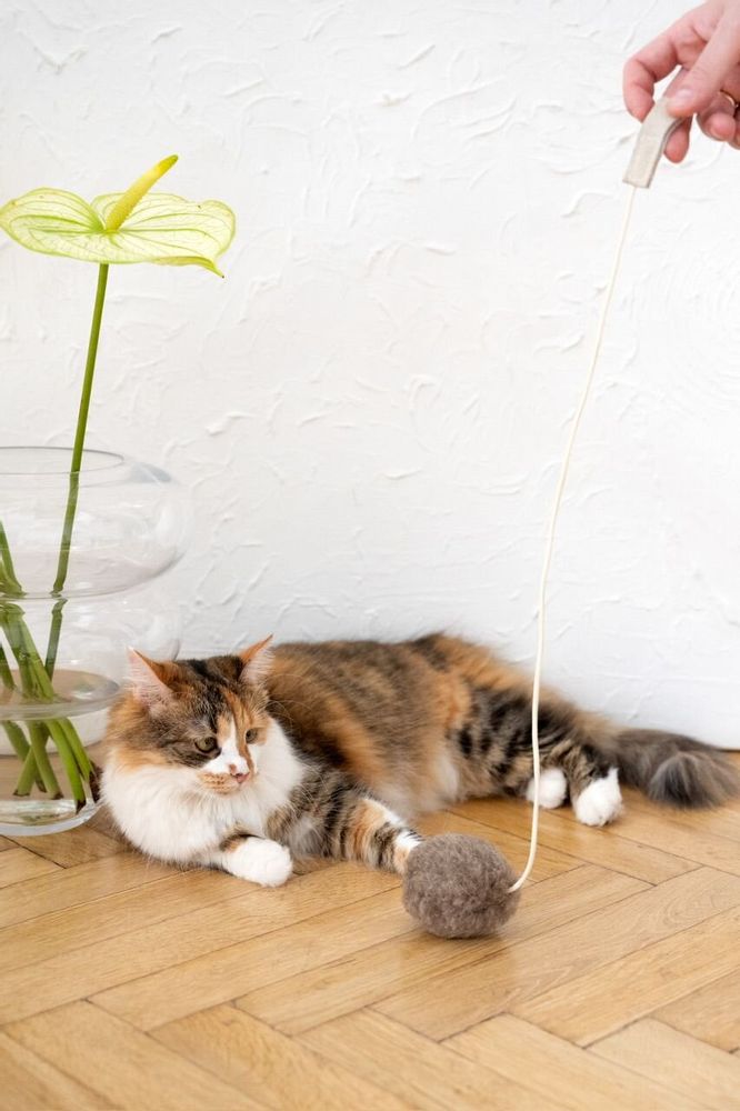 Objets de décoration - Jouet pour Chat en Laine Naturelle : Balle - MELLOW CONCEPT STORE