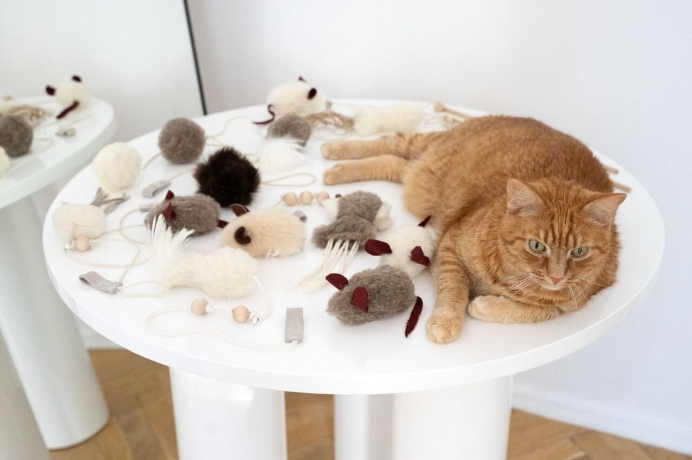 Objets de décoration - Jouet pour Chat en Laine Naturelle : Balle - MELLOW CONCEPT STORE