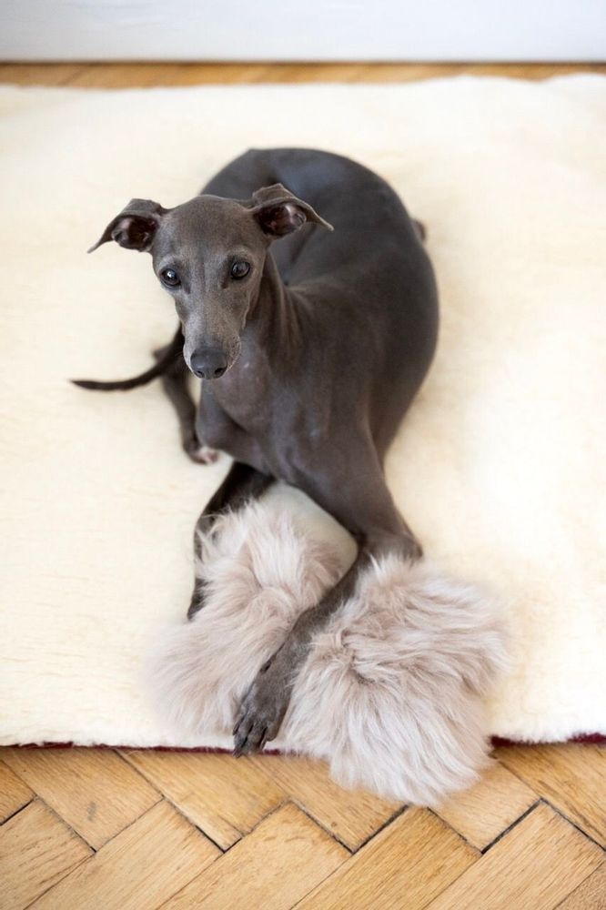 Decorative objects - Natural Sheepskin Dog Toy: Bone - Beige - MELLOW CONCEPT STORE