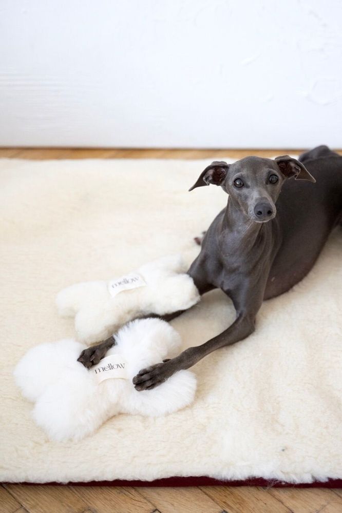 Decorative objects - Natural Sheepskin Dog Toy: Bone - Beige - MELLOW CONCEPT STORE