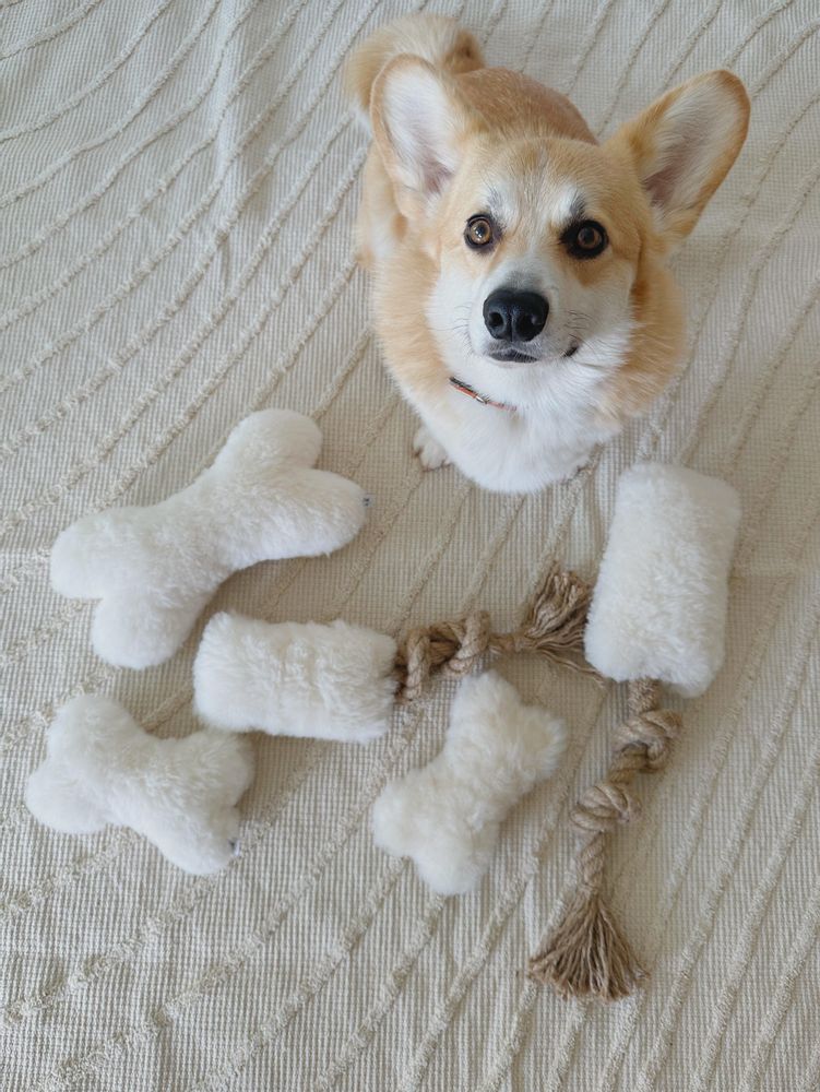 Decorative objects - Natural Sheepskin Dog Toy: Bone - Beige - MELLOW CONCEPT STORE