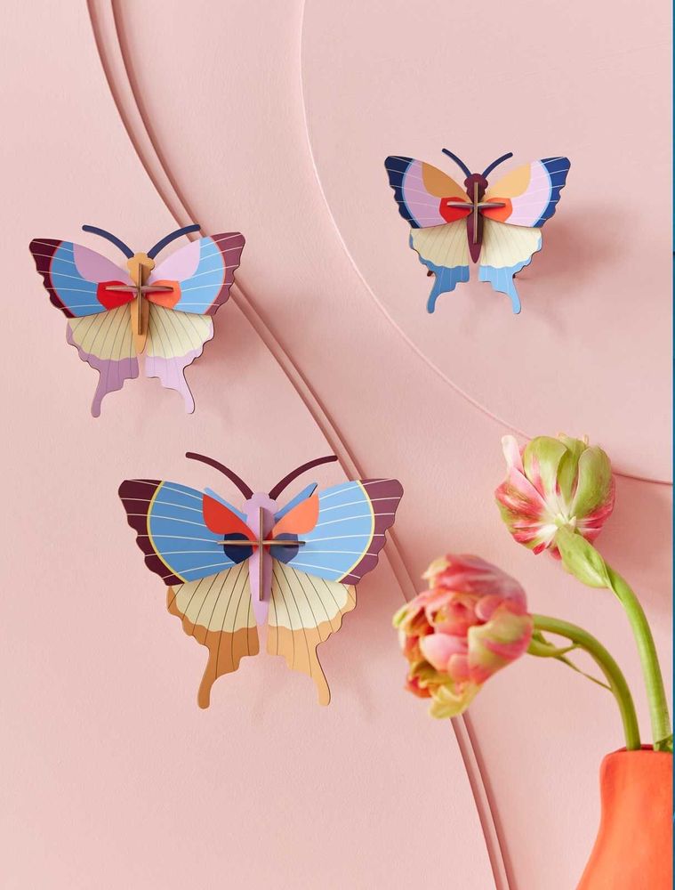 Other wall decoration - Butterflies & Beetles - STUDIO ROOF