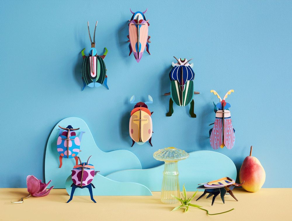 Other wall decoration - Butterflies & Beetles - STUDIO ROOF