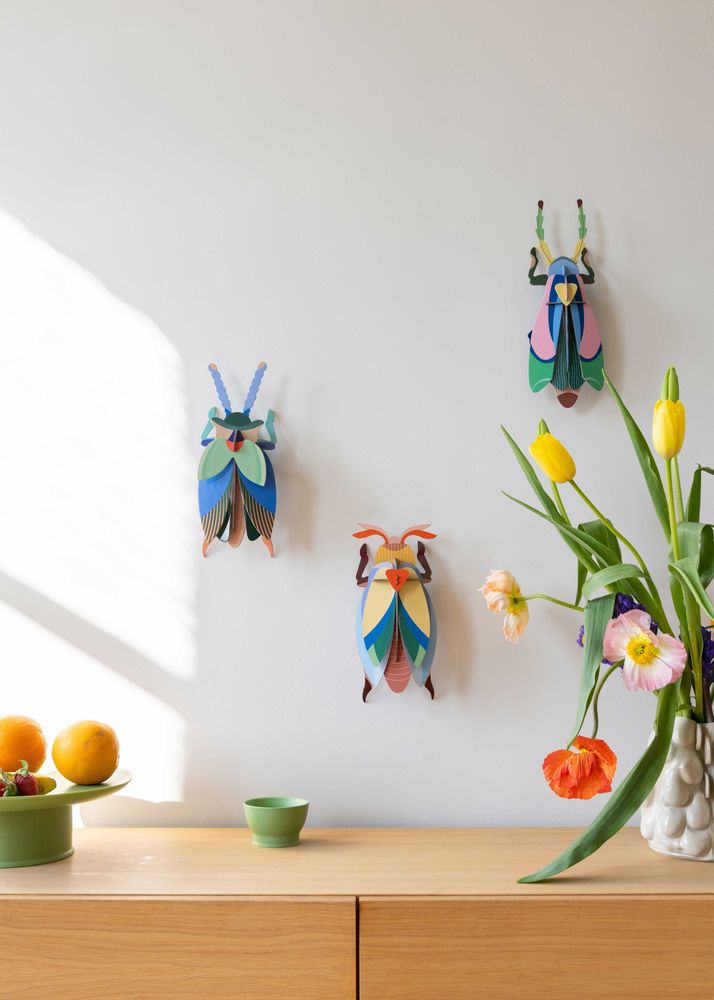 Other wall decoration - Butterflies & Beetles - STUDIO ROOF
