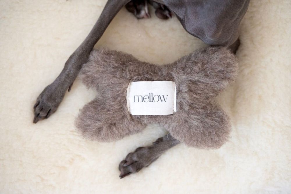 Decorative objects - Natural Woolen Dog Toy: Bone - Beige - MELLOW CONCEPT STORE