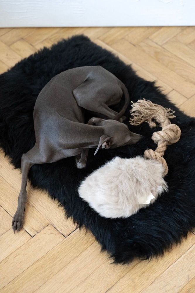 Objets de décoration - Jouet à Tirer en Peau de Mouton Naturelle – Beige - MELLOW CONCEPT STORE