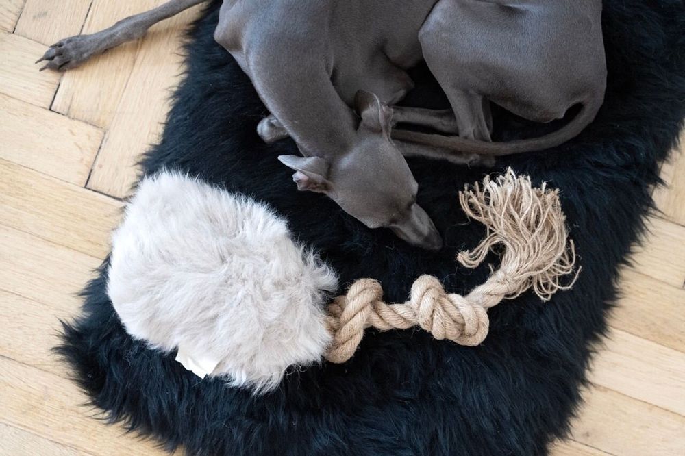 Objets de décoration - Jouet à Tirer en Peau de Mouton Naturelle – Beige - MELLOW CONCEPT STORE